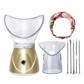 Beauty steaming face instrument (Option: Gold-UK)